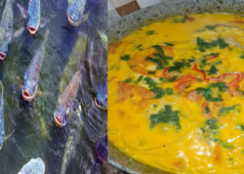MOQUECA DE TILÁPIA COZINHA RÁPIDA